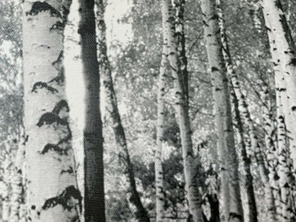 Bild „Birch“ Foto-Druck Leinwand Kunst Kunstwerk Deko in Worms