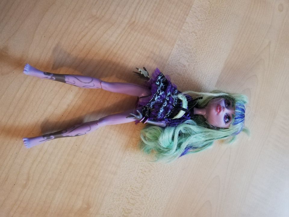 6 Monster High Puppen in Kalbsrieth