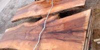 Tischplatten aus Olivenesche selbst bauen Holz Bohle Brett Diele Bayern - Oberpöring Vorschau