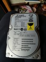 Retro Seagate Medalist 4312 4,3 GB  ATA 3,5  ST34312A Bielefeld - Sennestadt Vorschau