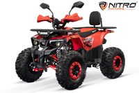 NITRO MOTORS 125cc midi Kinder Quad Stone Rider QS RS-3G8 Nordrhein-Westfalen - Rietberg Vorschau