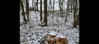 Gartengrundstück Erholung Waldgrundstück  2240 qm Eigentum Thüringen - Bad Blankenburg Vorschau