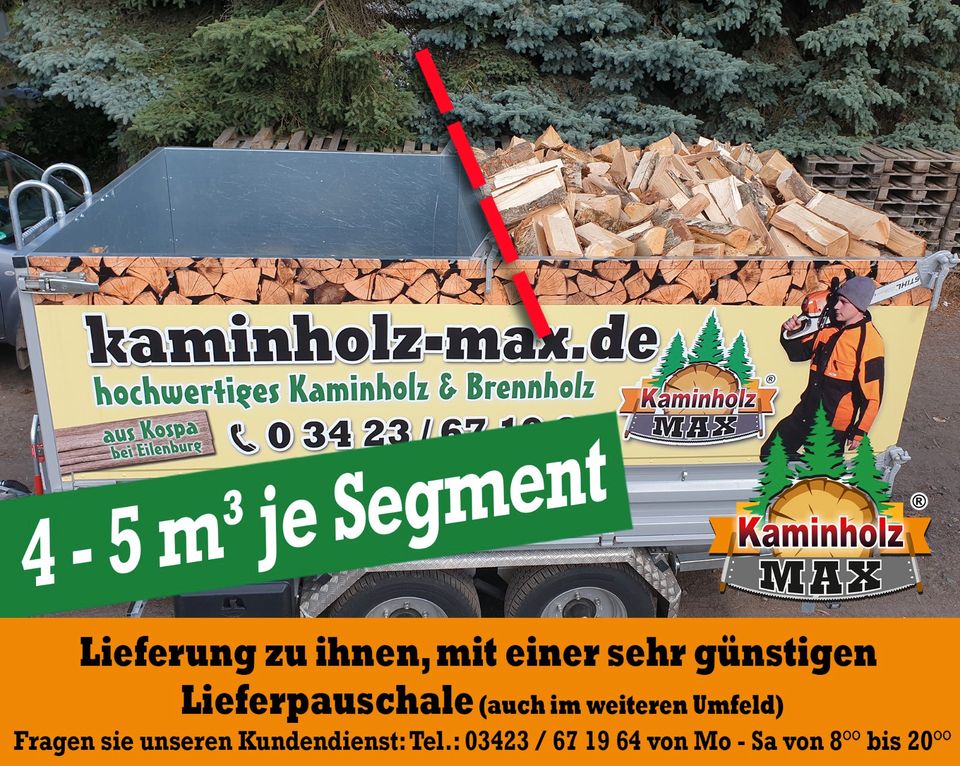 ab 4 m³ bis zu 35 m³ und  bis 50 km um 04552 Wyhra / Borna -   Kaminholz, Brennholz, Feuerholz, Holzvergaser, Kamin, Holz, Feuer, Brenn in Wyhratal