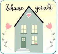 Nette Familie sucht Haus oder DHH Nordrhein-Westfalen - Reken Vorschau