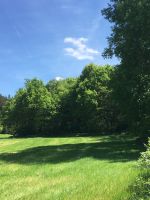 Wunderschöner Wald bei Augsburg – 8ha Eichenmischwald Bayern - Günzburg Vorschau
