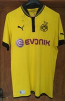 Borussia Dortmund Trikot mit Sokratis Papastathopoulos Autogramm Nordrhein-Westfalen - Gütersloh Vorschau