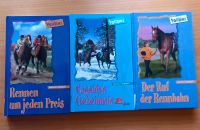 Pferde Bücher Hessen - Brombachtal Vorschau