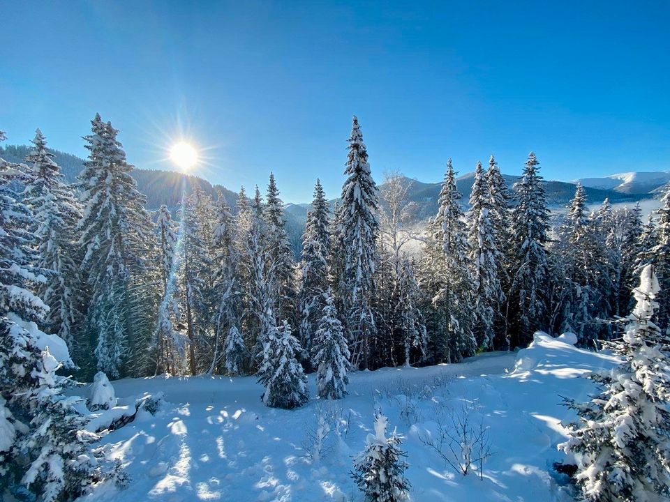 Berghütte/Ferienhaus Steiermark Österreich frei ab SA 1.6.24 in Berlin