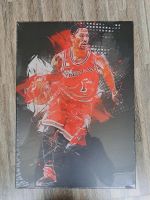 Displate NBA Derrick Rose Niedersachsen - Buxtehude Vorschau