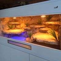 Terrarium Reptilien 120x50x60 kommode 120x50x80 Dortmund - Innenstadt-Nord Vorschau