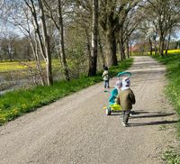 Wally‘s Räuberbande freut sich noch auf einen Spielgefährten Niedersachsen - Stuhr Vorschau