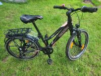 Mädchen Fahrrad 20 Zoll Sachsen - Grünhainichen Vorschau