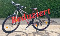 MTB von HEAD X-Rubi Damenfahrrad 29 Zoll Bayern - Untermeitingen Vorschau