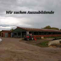 Auszubildende gesucht Niedersachsen - Lamstedt Vorschau