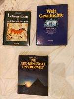 Bücher Die großen Rätsel unserer Welt Bayern - Eckental  Vorschau