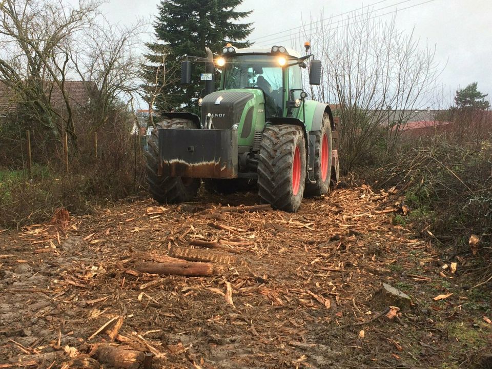 Baumfällung / Rodung / Rückschnitt / Hächsel- & / Baggerarbeiten in Mandelbachtal