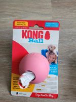 Kong Ball Hundespielzeug Essen - Rüttenscheid Vorschau