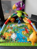 Fisher-Price Spieldecke Baby Baden-Württemberg - Gemmrigheim Vorschau