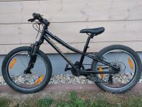 Specialized Hotrock Mountainbike 20 Zoll Kinderrad Sachsen - Radebeul Vorschau