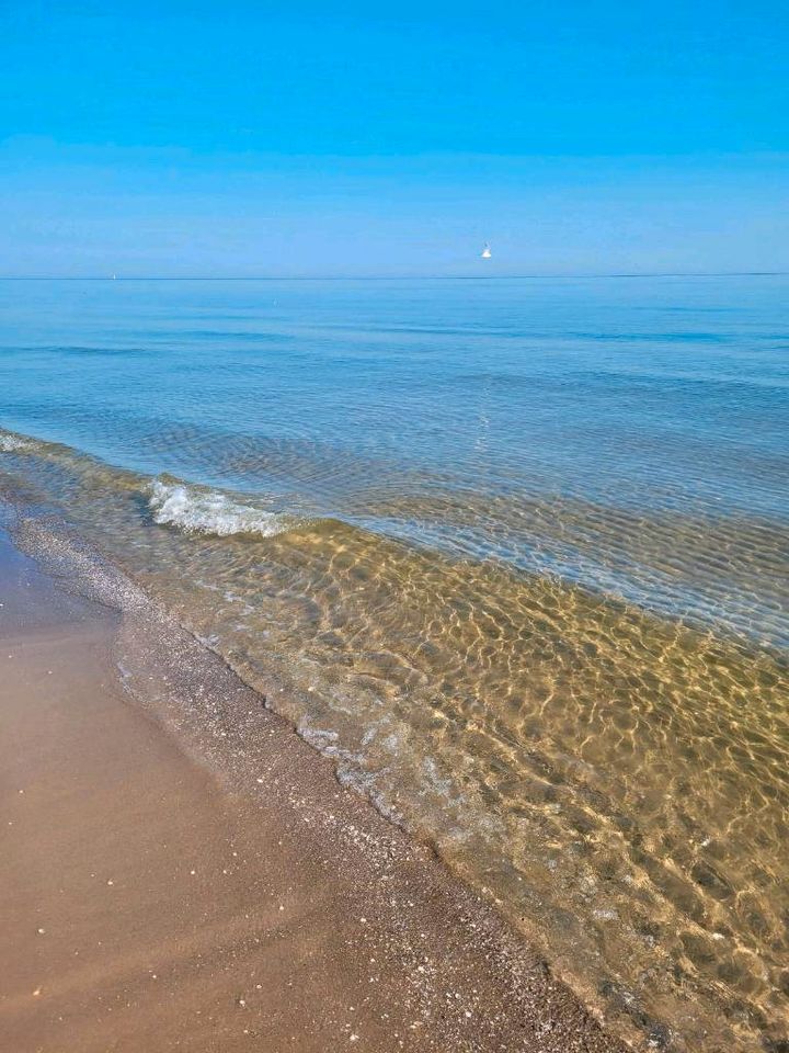 Ferienhaus auf Usedom Ostsee Ferien Sommer in Ückeritz