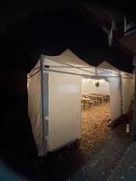 2x Faltzelt Faltpavillon 4x4 Meter weiß NEU Partyzelt Bierzelt Nordrhein-Westfalen - Sundern (Sauerland) Vorschau