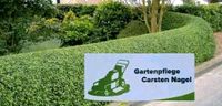 Gartenpflege /  Gartenarbeit / 30€ Std. Schleswig-Holstein - Eckernförde Vorschau