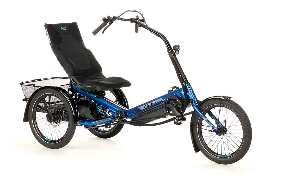 HP VELOTECHNIK DELTA TX | CHOPPER E-TRIKE | LIEGERAD | WIE HASE in Härtlingen