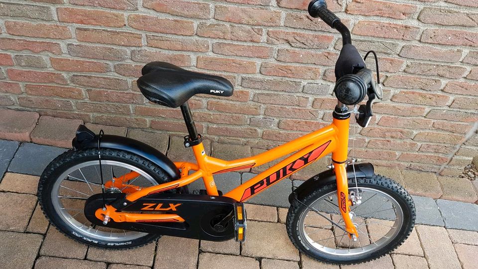 Puky Fahrrad ZLX 16 Zoll in Lahnstein