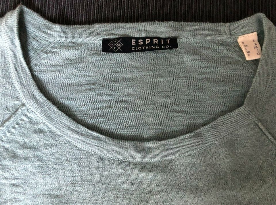 ESPRIT - Shirt / Pulli - Gr. L - in 3 Farben - 100% BW - in Ratingen