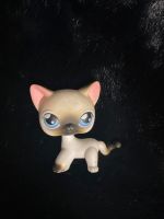 LPS Littlest PET Shop Katze 05 Hasbro Blue eyes Nordrhein-Westfalen - Hilden Vorschau