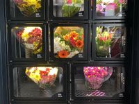 Blumenautomat - Blumenverkaufsautomat - Verkaufsautomat für Blumen - XL-Blumenautomat Bayern - Weilheim i.OB Vorschau