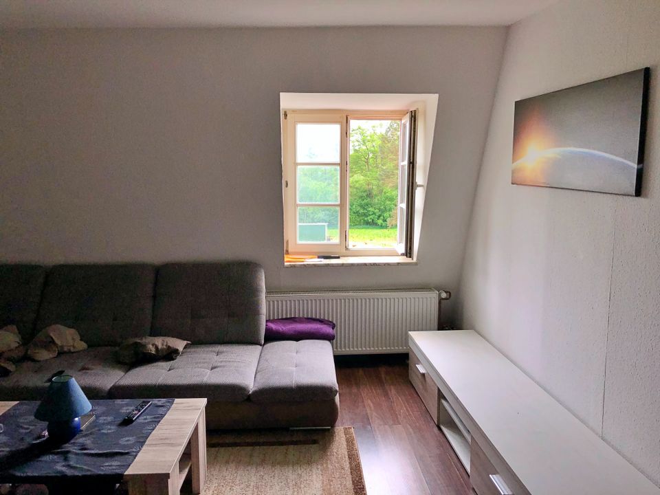 Gemütliche 3 Zimmer Wohnung im Dachgeschoss in Steinheim in Steinheim