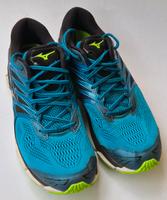 Mizuno Wave Horizon 2 Herren 46.5 Hessen - Bruchköbel Vorschau