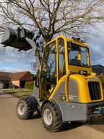 Hoflader Eurotrac W11 Vollkabine Hubhöhe 2.85m Radlader Hoftrac Niedersachsen - Heemsen Vorschau