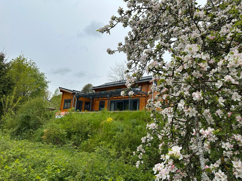 Ferienhaus am See  zu mieten.    Bayern.  92555 Trausnitz in Trausnitz