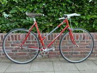 Franceso Moser Singlespeed - das besondere Fahrrad Hannover - Südstadt-Bult Vorschau