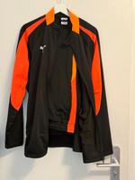 Puma Jogginganzug Brandenburg - Potsdam Vorschau