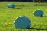 Rundballen Wiesengras trocken Herzogtum Lauenburg - Labenz Vorschau