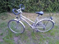 Fahrrad Trekkingrad 28 Zoll guter Zustand Hessen - Marburg Vorschau