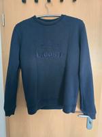 Lacoste Pullover Leipzig - Dölitz-Dösen Vorschau