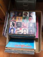 Diverse Langspielplatten (Vinyl) Pop / Rock / Hard Rock Niedersachsen - Selsingen Vorschau