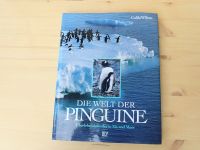 Culik/Wilson "Die Welt der Pinguine" BLV gebunden, Großformat Schleswig-Holstein - Nehmten Vorschau