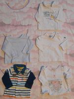 Unisex und Jungen Pullover Größe 50-98 Leipzig - Sellerhausen-Stünz Vorschau