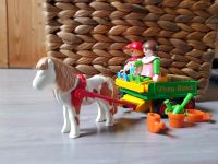 Playmobil 3713 Pony Ranch Wagen Hessen - Gelnhausen Vorschau