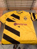 Dortmund Trikot Niedersachsen - Ihlow Vorschau