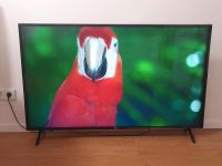 4k Smart-TV Fernseher 55 Zoll von LG Berlin - Hellersdorf Vorschau