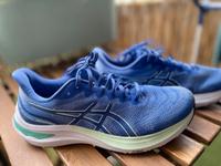 Asics Damen Gel Pursue Größe 44 Bayern - Regensburg Vorschau