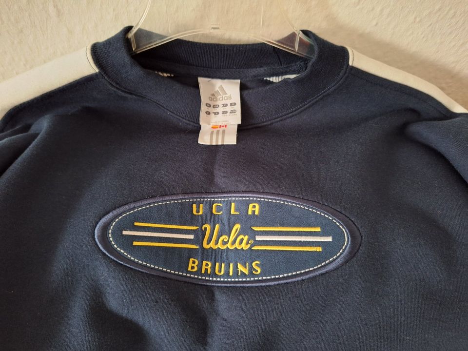 UCLA adidas Pulli in Eggenstein-Leopoldshafen