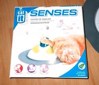 Cat it Senses Massage Center Dortmund - Eving Vorschau