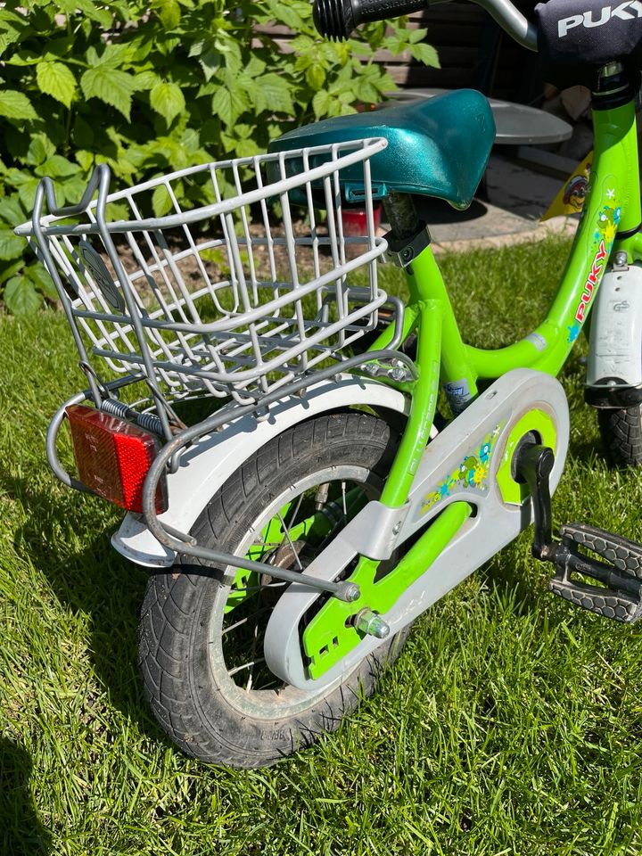 Puky 12 Zoll Kinderfahrrad grün in Harthausen